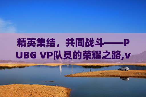 精英集结，共同战斗——PUBG VP队员的荣耀之路,vp绝地求生队员