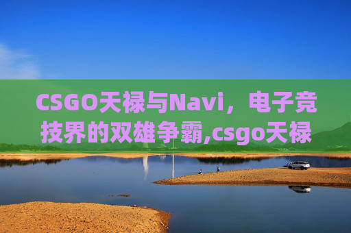 CSGO天禄与Navi，电子竞技界的双雄争霸,csgo天禄和猎鹰