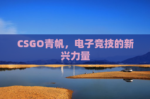 CSGO青帆，电子竞技的新兴力量