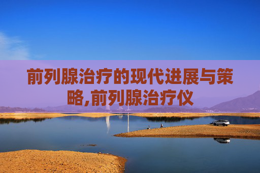 前列腺治疗的现代进展与策略,前列腺治疗仪