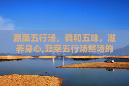 蔬菜五行汤，调和五味，滋养身心,蔬菜五行汤熬汤的比例