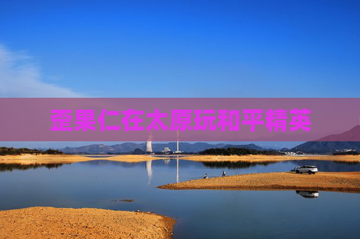 歪果仁在太原玩和平精英