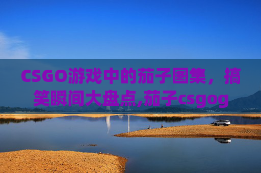 CSGO游戏中的茄子图集，搞笑瞬间大盘点,茄子csgogif