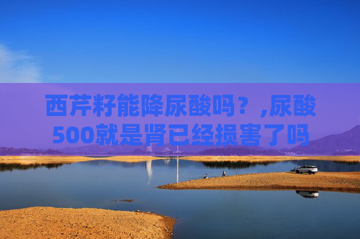 西芹籽能降尿酸吗？,尿酸500就是肾已经损害了吗