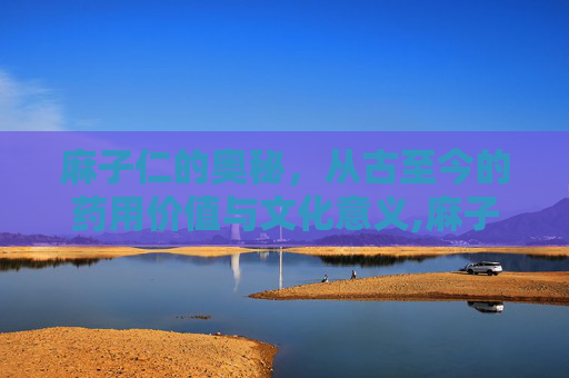 麻子仁的奥秘,从古至今的药用价值与文化意义,麻子仁丸组成 麻子仁的奥秘,从古至今的药用价值与文化意义,麻子仁丸组成