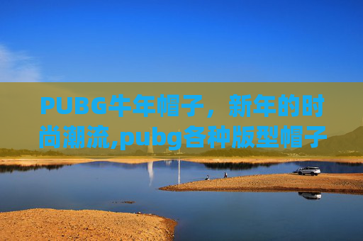 PUBG牛年帽子,新年的时尚潮流,pubg各种版型帽子 PUBG牛年帽子,新年的时尚潮流,pubg各种版型帽子