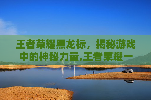 王者荣耀黑龙标，揭秘游戏中的神秘力量,王者荣耀一个龙头标志是什么