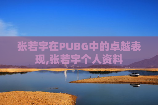 张若宇在PUBG中的卓越表现,张若宇个人资料