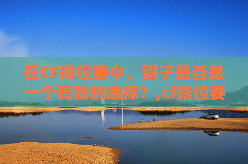 在CF排位赛中，钳子是否是一个有效的选择？,cf排位要求