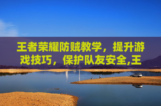 王者荣耀防贼教学，提升游戏技巧，保护队友安全,王者荣耀防御