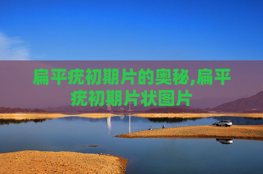 扁平疣初期片的奥秘,扁平疣初期片状图片