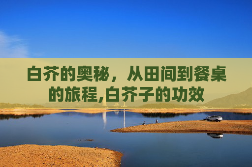 白芥的奥秘，从田间到餐桌的旅程,白芥子的功效