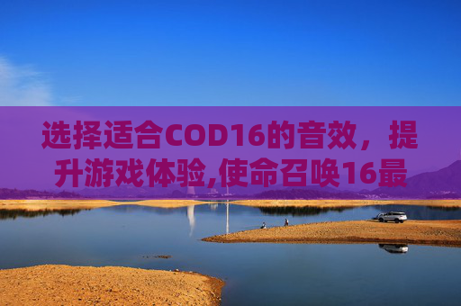 选择适合COD16的音效，提升游戏体验,使命召唤16最佳音效