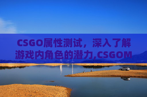 CSGO属性测试，深入了解游戏内角色的潜力,CSGOM测试