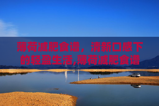 薄荷减肥食谱，清新口感下的轻盈生活,薄荷减肥食谱公开