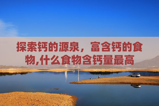 探索钙的源泉，富含钙的食物,什么食物含钙量最高