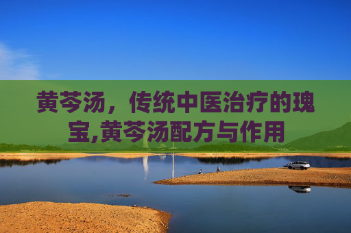 黄芩汤，传统中医治疗的瑰宝,黄芩汤配方与作用