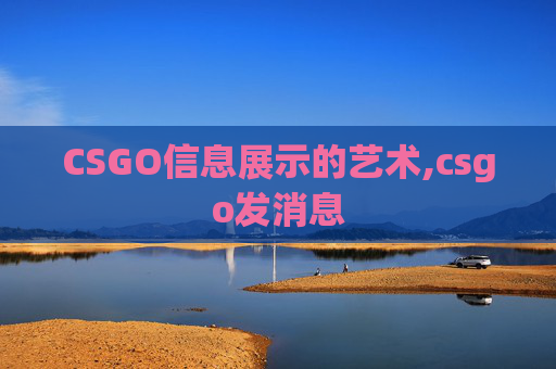 CSGO信息展示的艺术,csgo发消息