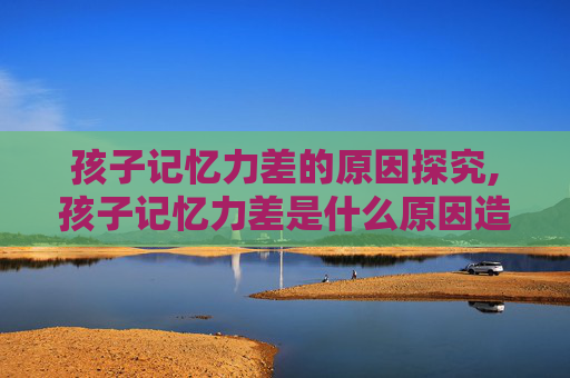 孩子记忆力差的原因探究,孩子记忆力差是什么原因造成的