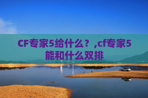 CF专家5给什么？,cf专家5能和什么双排