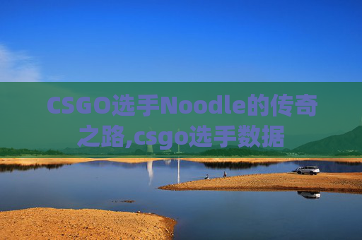 CSGO选手Noodle的传奇之路,csgo选手数据
