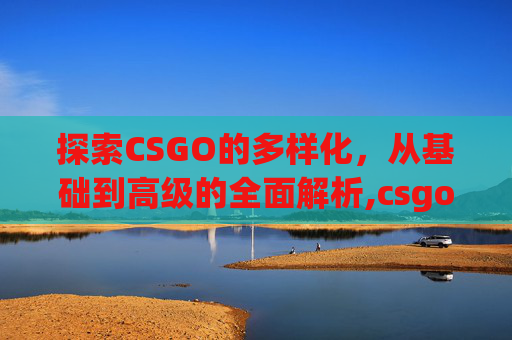 探索CSGO的多样化，从基础到高级的全面解析,csgo有几种版本