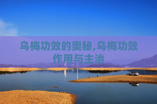 乌梅功效的奥秘,乌梅功效作用与主治