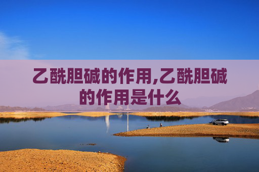 乙酰胆碱的作用,乙酰胆碱的作用是什么