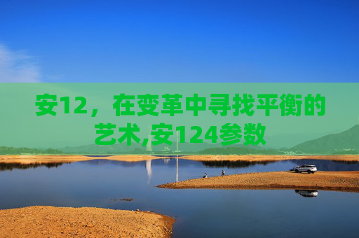 安12，在变革中寻找平衡的艺术,安124参数