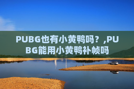 PUBG也有小黄鸭吗？,PUBG能用小黄鸭补帧吗