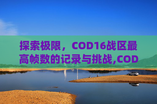 探索极限，COD16战区最高帧数的记录与挑战,COD16高ping