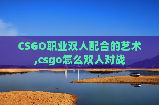 CSGO职业双人配合的艺术,csgo怎么双人对战