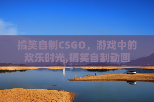 搞笑自制CSGO，游戏中的欢乐时光,搞笑自制动画
