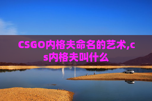 CSGO内格夫命名的艺术,cs内格夫叫什么