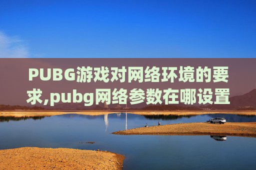 PUBG游戏对网络环境的要求,pubg网络参数在哪设置