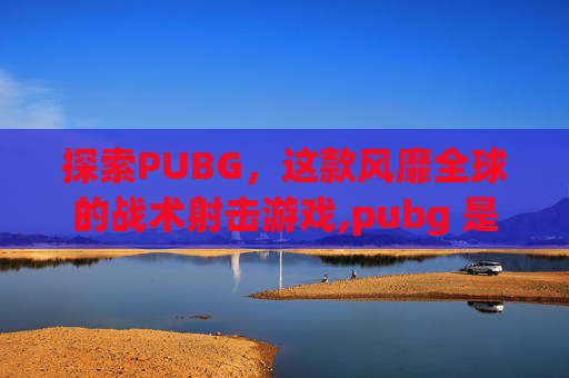 探索PUBG，这款风靡全球的战术射击游戏,pubg 是啥