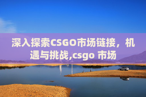 深入探索CSGO市场链接，机遇与挑战,csgo 市场