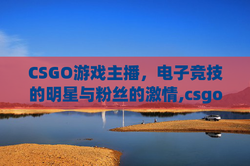 CSGO游戏主播，电子竞技的明星与粉丝的激情,csgo 游戏主播 niko