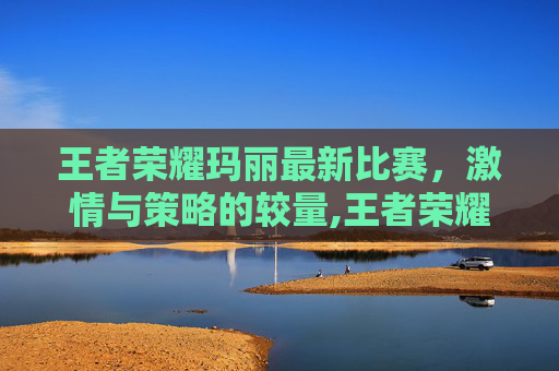 王者荣耀玛丽最新比赛，激情与策略的较量,王者荣耀马