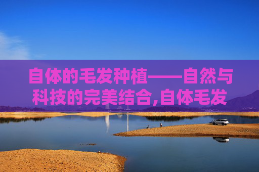 自体的毛发种植——自然与科技的完美结合,自体毛发种植手术