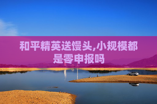 和平精英送馒头,小规模都是零申报吗