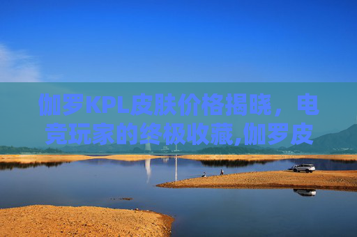 伽罗KPL皮肤价格揭晓，电竞玩家的终极收藏,伽罗皮肤价格表一览