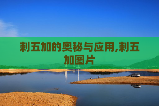 刺五加的奥秘与应用,刺五加图片