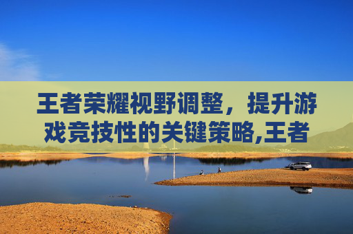 王者荣耀视野调整，提升游戏竞技性的关键策略,王者荣耀调视野范围