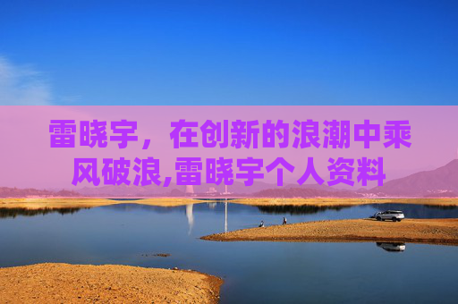雷晓宇，在创新的浪潮中乘风破浪,雷晓宇个人资料