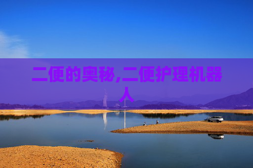二便的奥秘,二便护理机器人