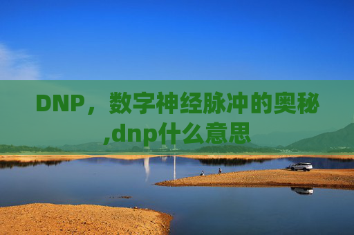 DNP，数字神经脉冲的奥秘,dnp什么意思