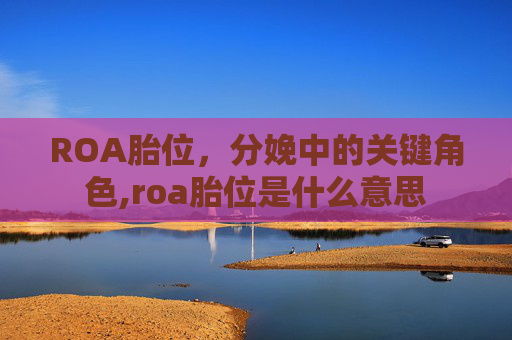 ROA胎位，分娩中的关键角色,roa胎位是什么意思