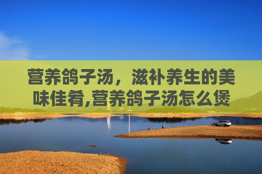 营养鸽子汤，滋补养生的美味佳肴,营养鸽子汤怎么煲