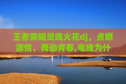 王者荣耀灵魂火花dj，点燃激情，舞动青春,电线为什么是两根